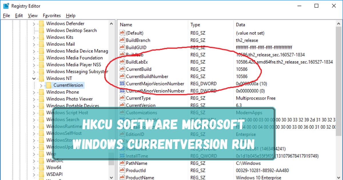 HKCU Software Microsoft Windows Currentversion Run