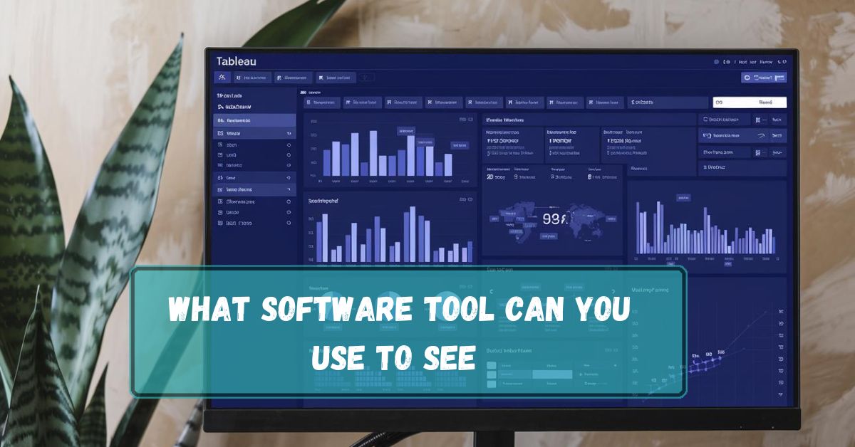 What Software Tool Can You Use To See